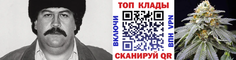 Где продают наркотики Саранск Галлюциногенные грибы  МЕФ  Кокаин  Альфа ПВП  ГАШ  Канабис 