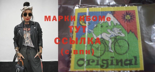 дмт Богданович