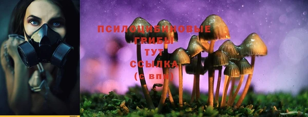 дмт Богданович