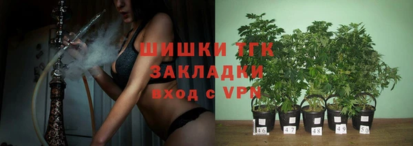 дмт Богданович