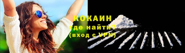 дмт Богданович