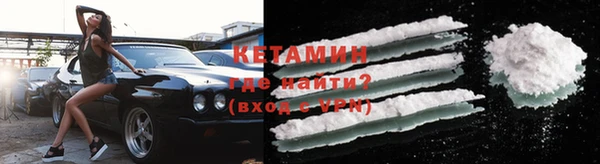 дмт Богданович