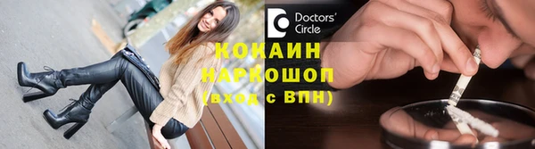 дмт Богданович