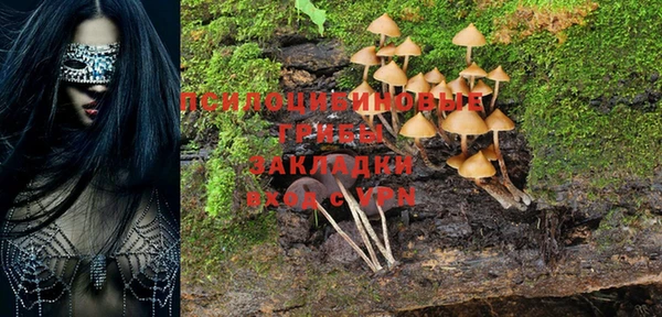 дмт Богданович