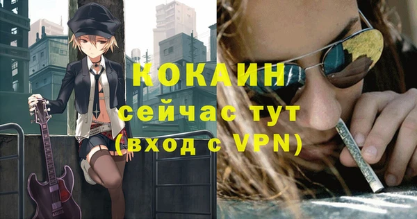 дмт Богданович