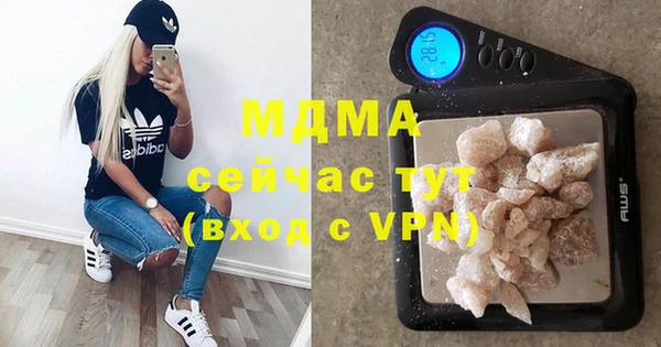 дмт Богданович