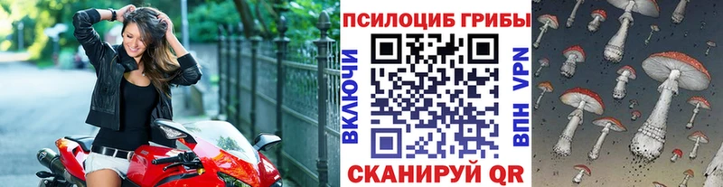 где можно купить   Саранск  Галлюциногенные грибы ЛСД 